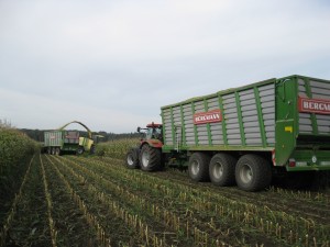 bergmann-silage-trailer-triaxle-maize-harvest