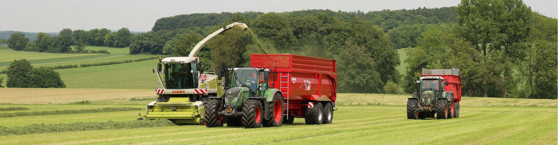 grass silage harvest