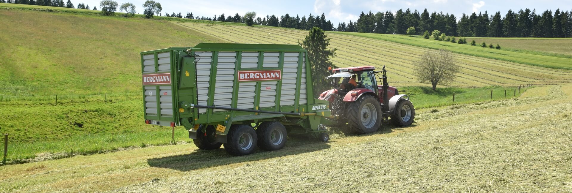 Silage wagon harvesting grass with a short chop