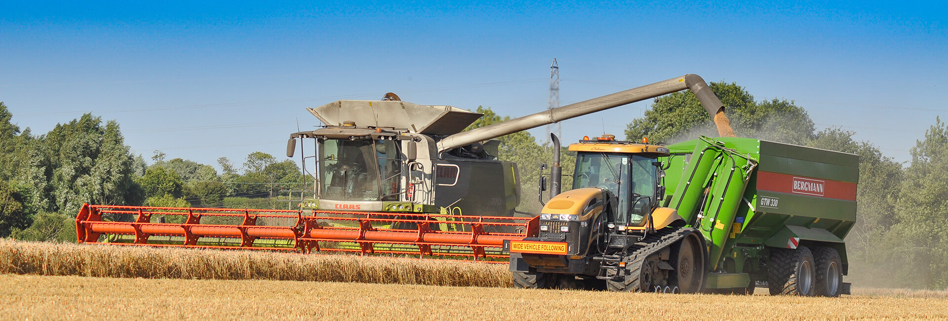 Challenger and grain chaser bin wheat harvest UK