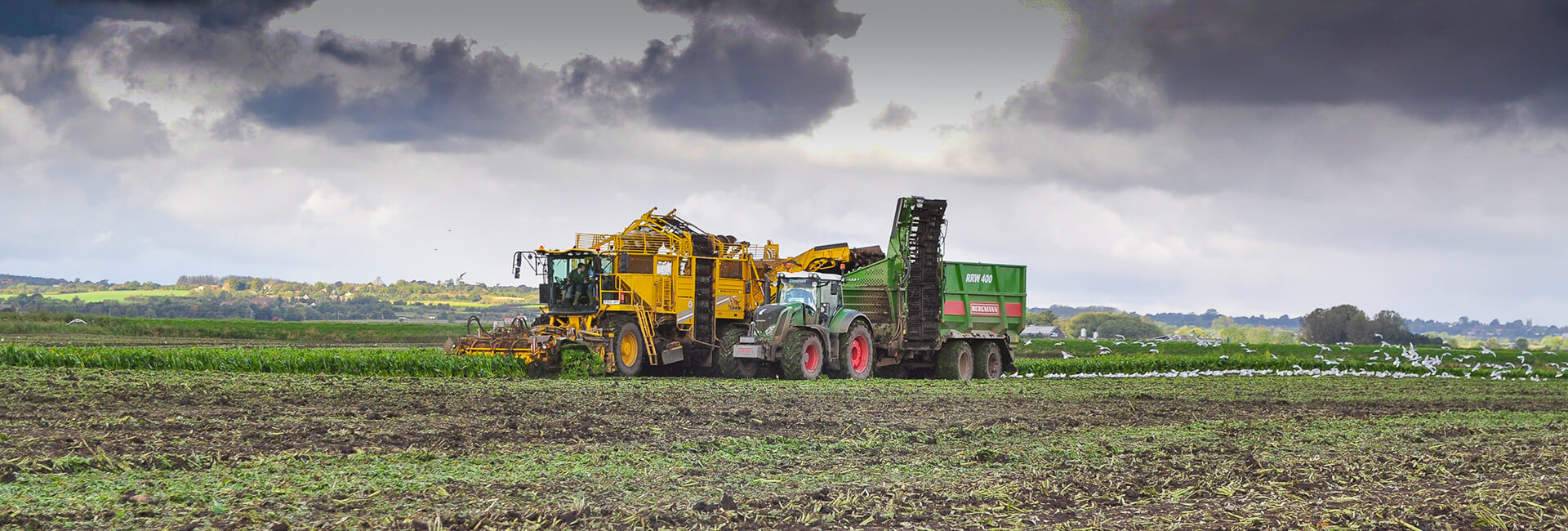 beet chaser overloading trailer