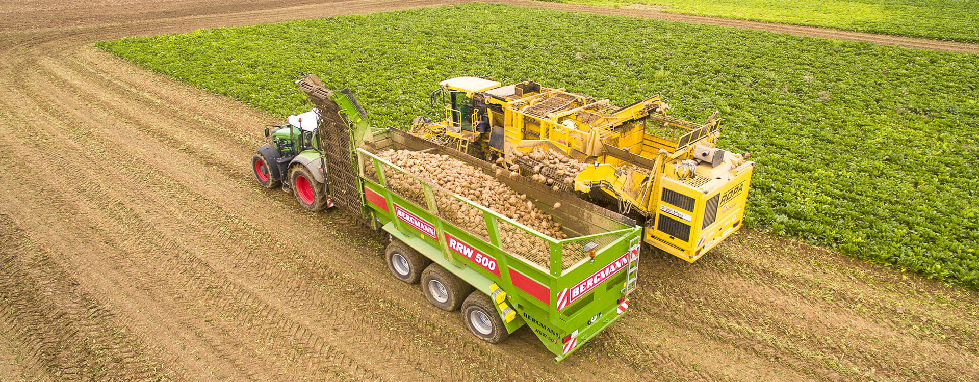 Bergmann sugar beet chaser with ropa washer harvester